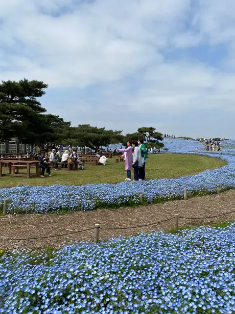 国営ひたち海浜公園