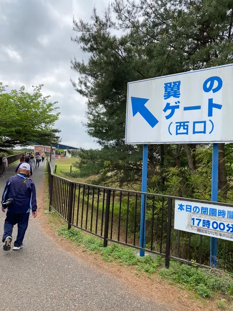 国営ひたち海浜公園