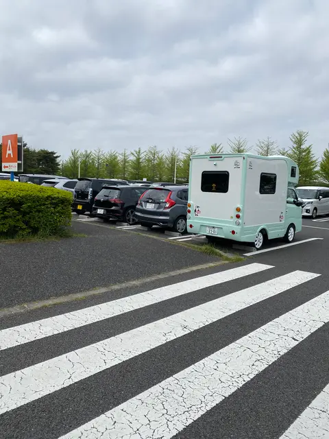 国営ひたち海浜公園