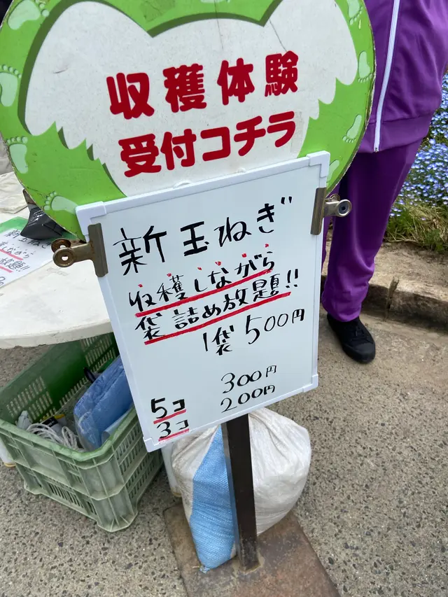 イングランドの丘