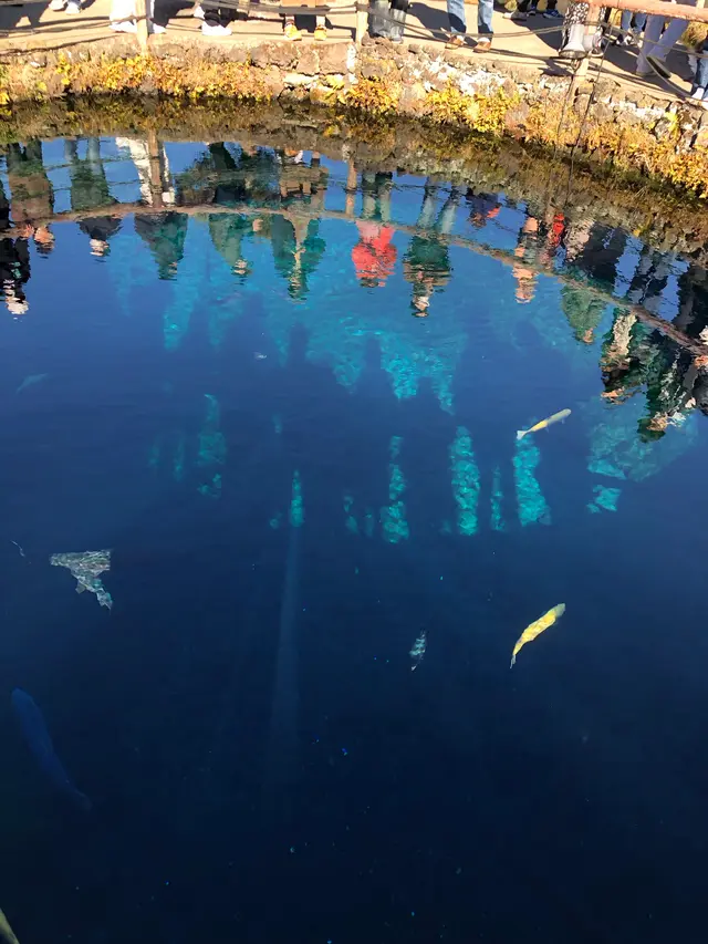 忍野八海