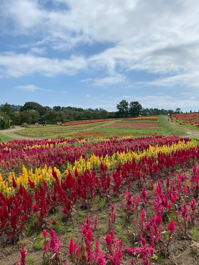 那須フラワーワールド
