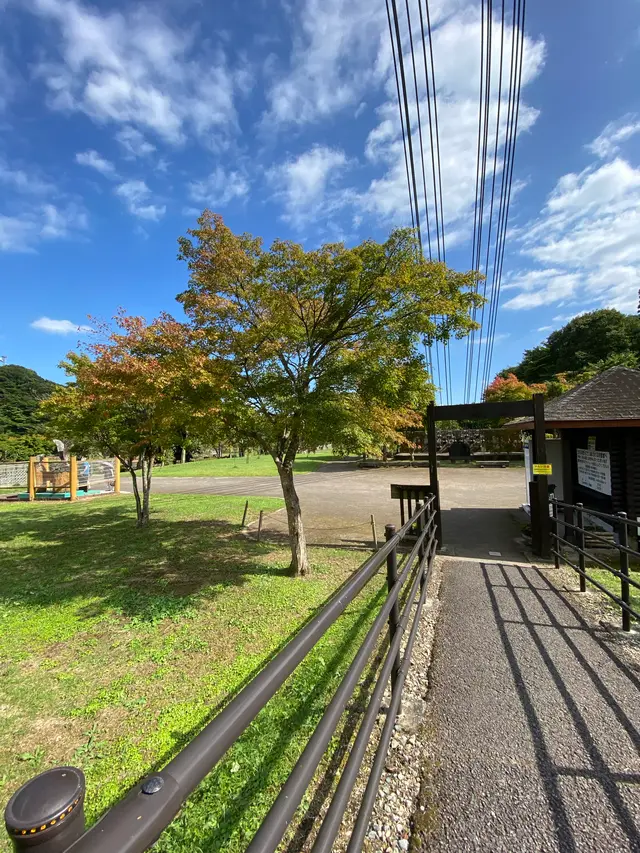 森林の駅　もみじ谷大吊橋