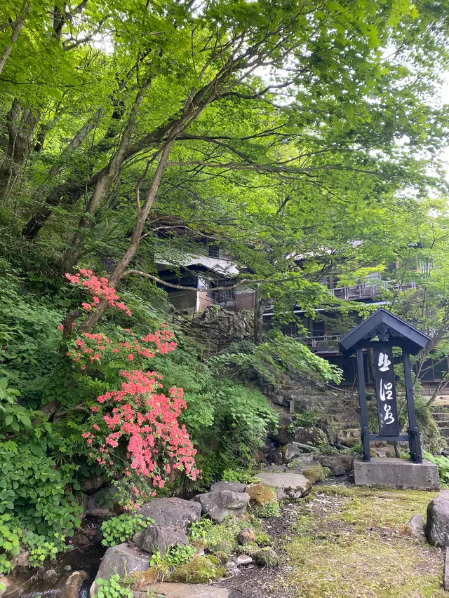 北温泉