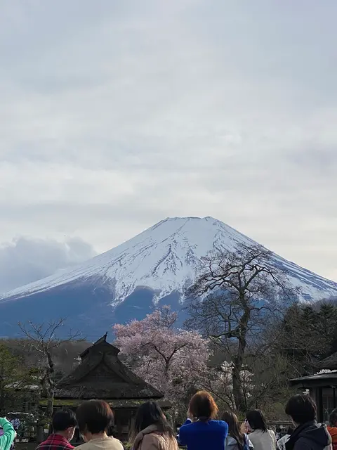 忍野八海