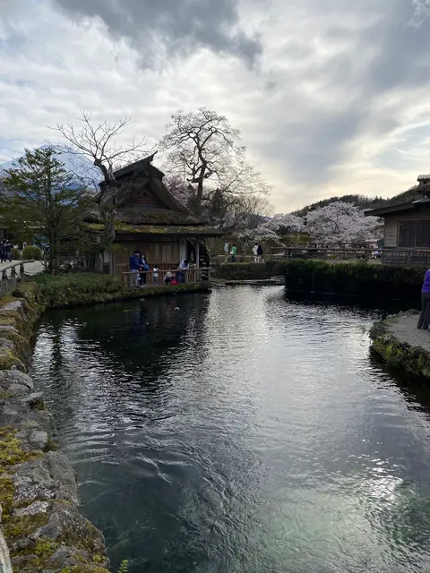 忍野八海
