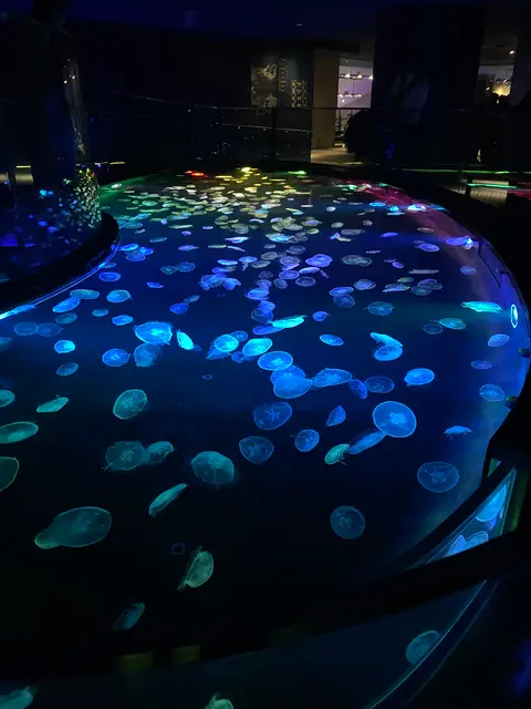 すみだ水族館