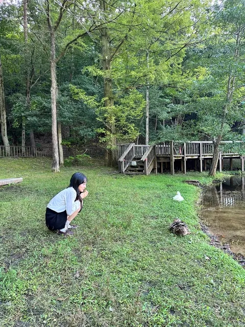宝ヶ池公園