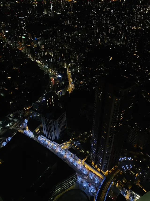 Tokyo City View（東京シティビュー）六本木ヒルズ展望台