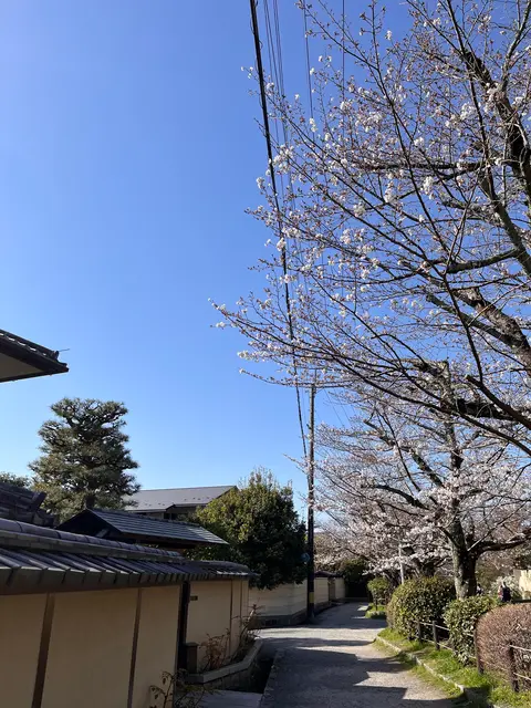 哲学の道