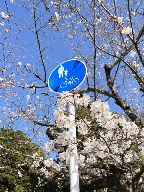 哲学の道