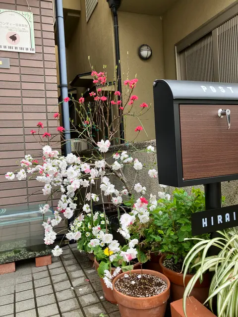 平井隆富