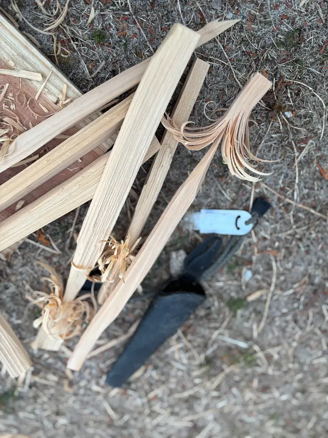 農園リゾート THE FARM