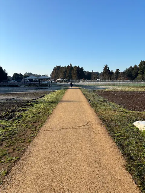 農園リゾート THE FARM