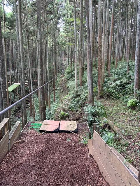 フォレストアドベンチャー・小田原