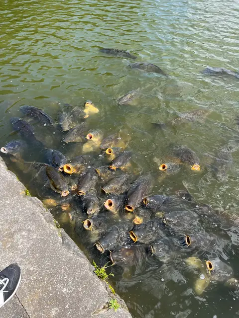 軽井沢タリアセン