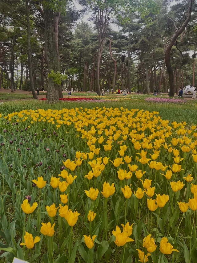 国営ひたち海浜公園