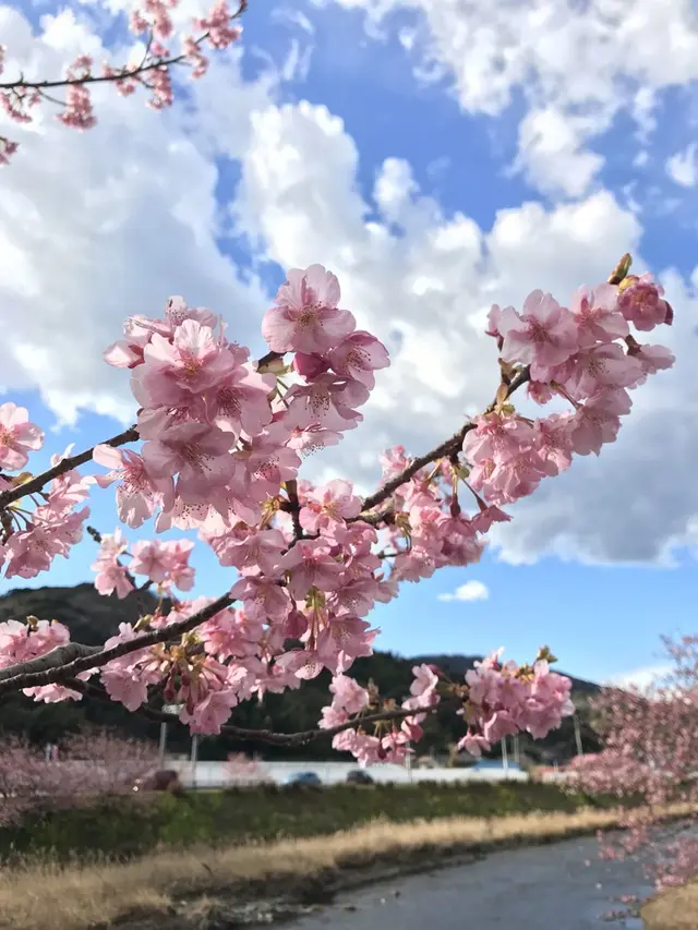 河津川