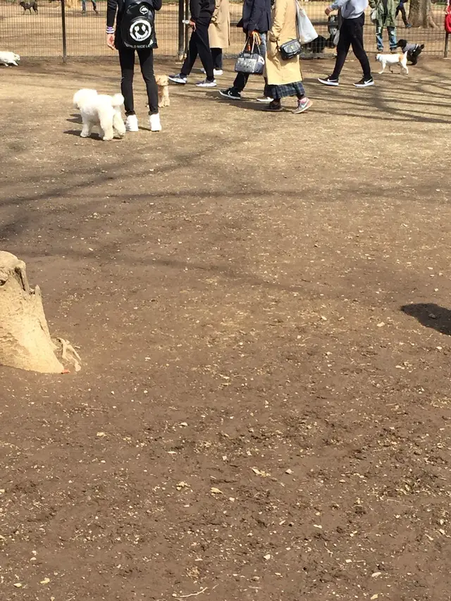 代々木公園