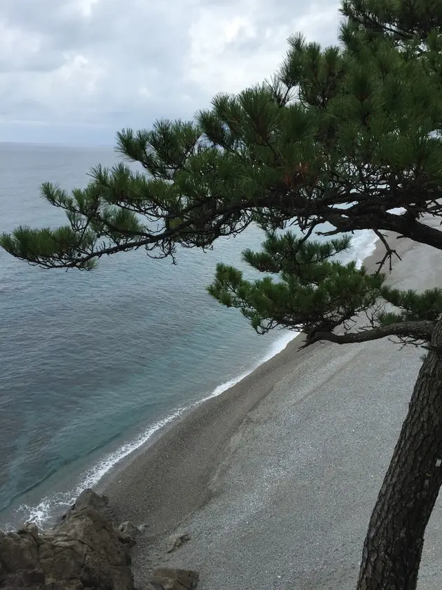 桂浜