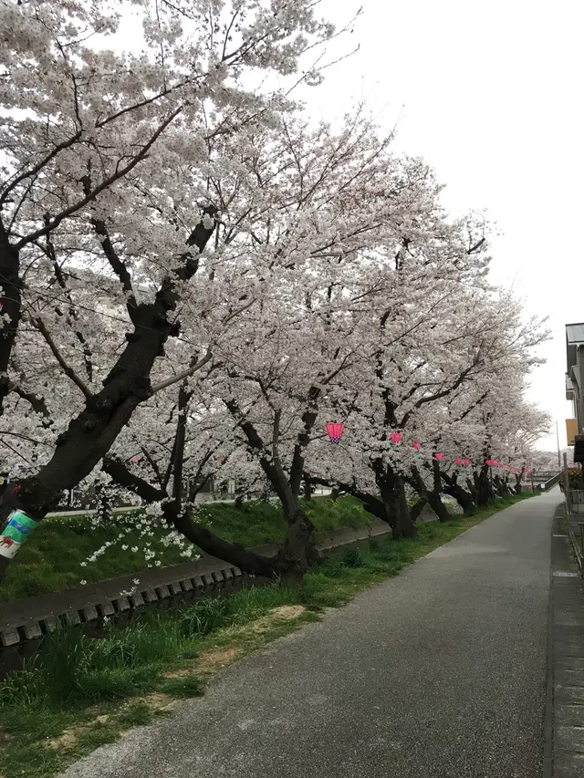 五条川