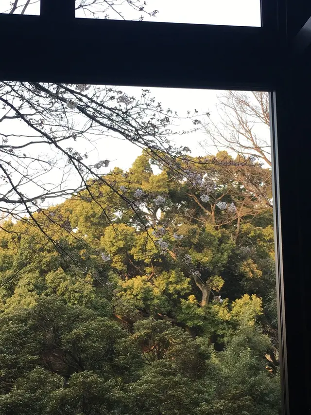 しょうゆきゃふぇ 元町