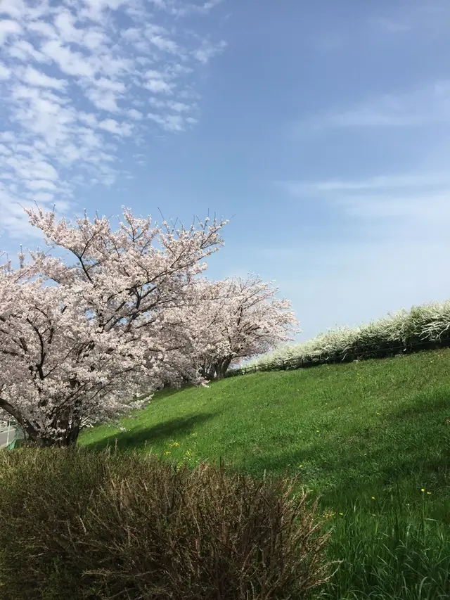 牧野ヶ池緑地