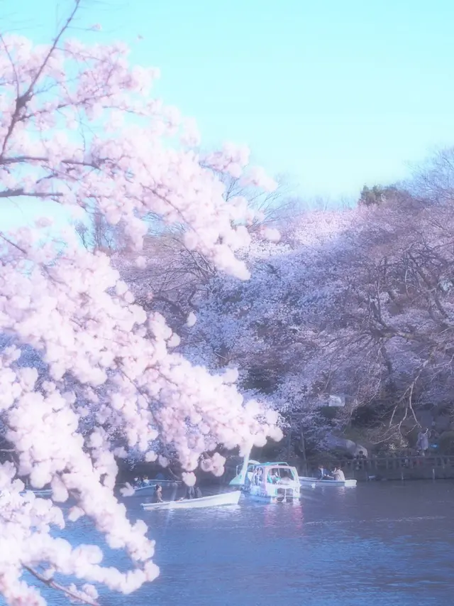 井の頭恩賜公園