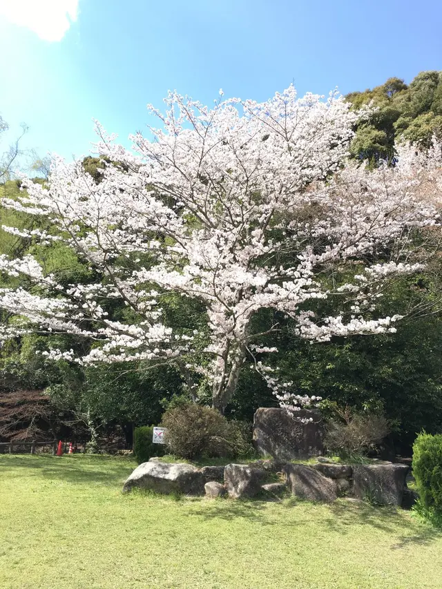 定光寺公園
