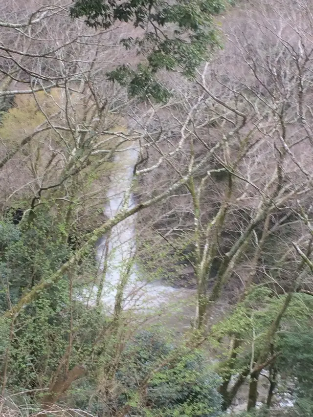 小田原城