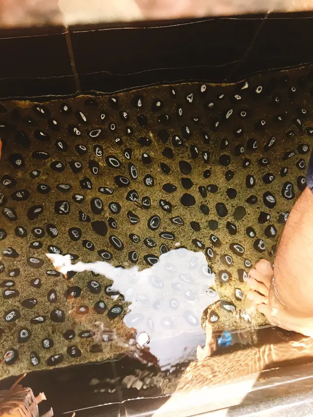 東府やベーカリー＆カフェ