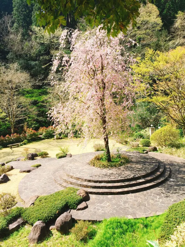 東府やベーカリー＆カフェ