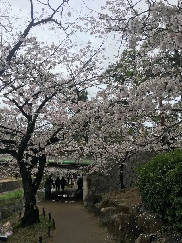 ヨーキーズブランチ （YORKYS BRUNCH）