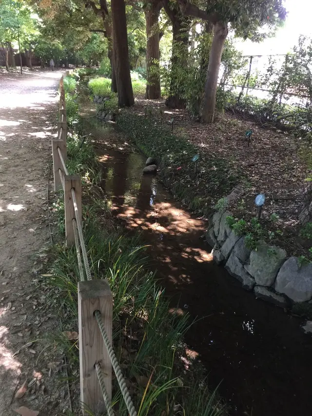 新宿御苑