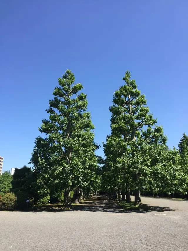 新宿御苑