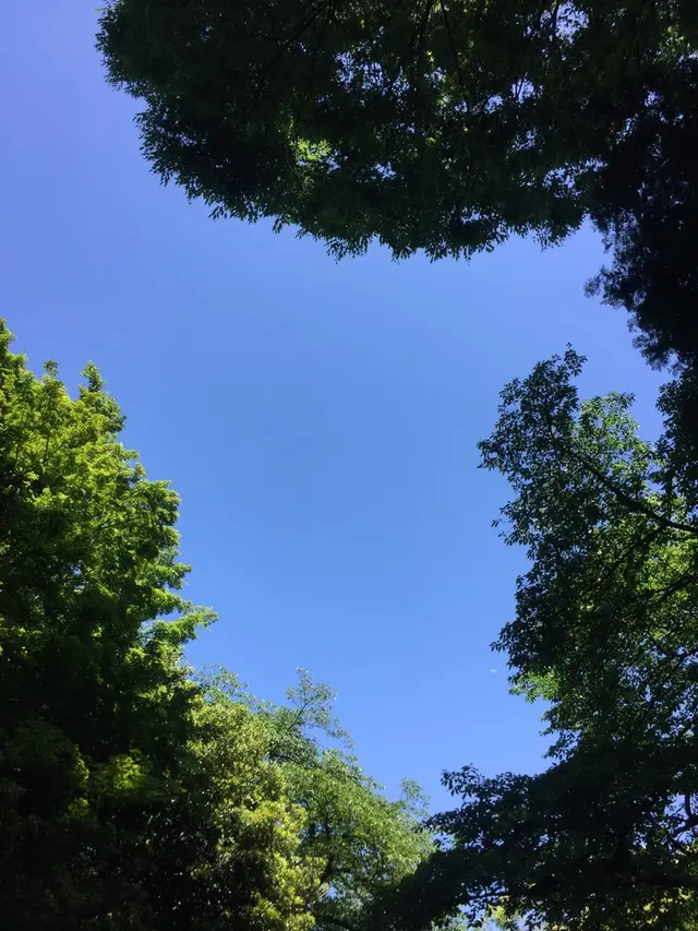 新宿御苑