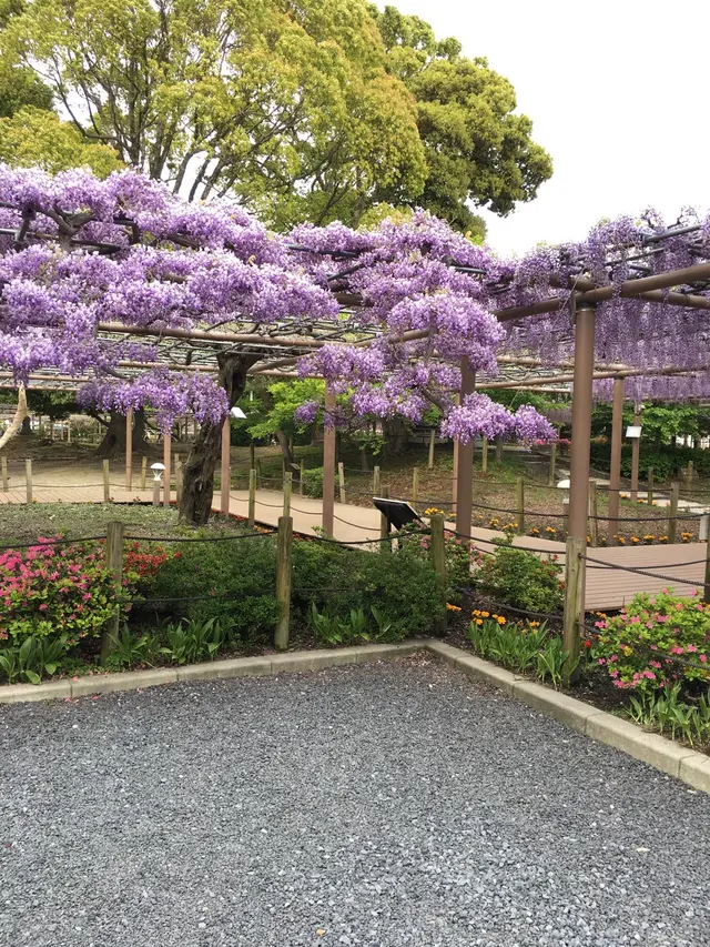 曼荼羅寺