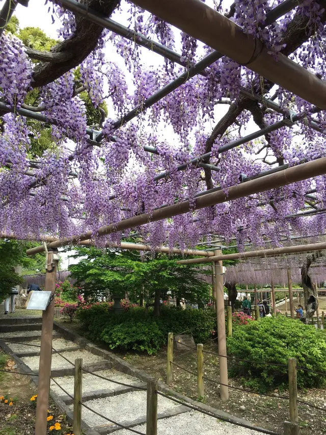 曼荼羅寺