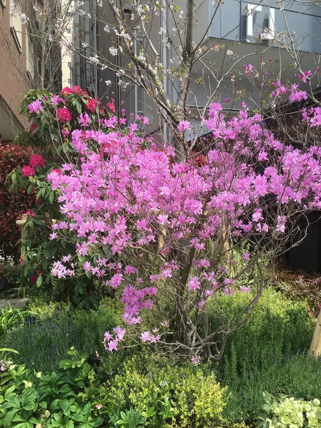 [閉店] NOZ BY T.Y.FARM