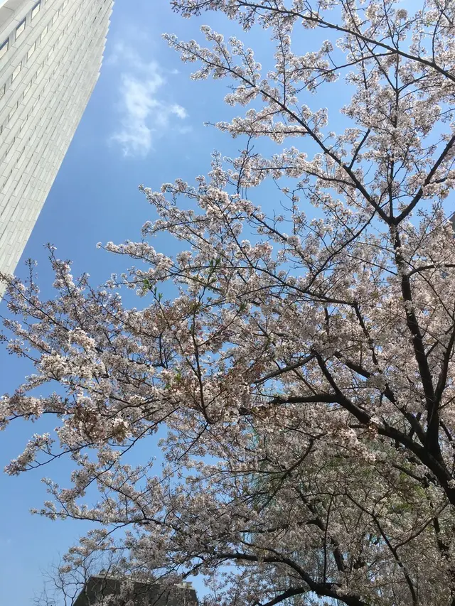 [閉店] NOZ BY T.Y.FARM