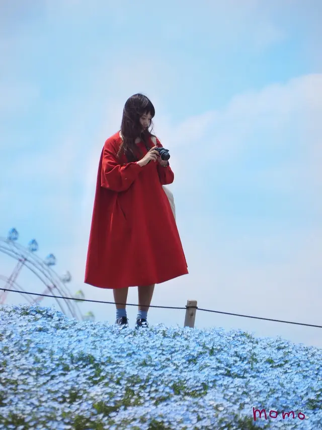 国営ひたち海浜公園