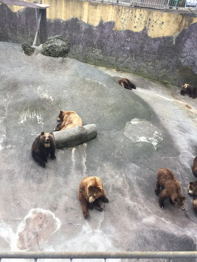 阿蘇カドリー・ドミニオン