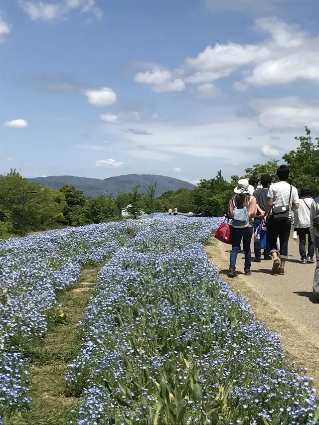馬見丘陵公園