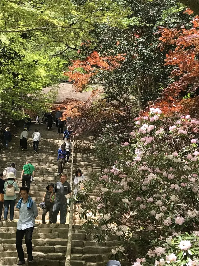 室生寺