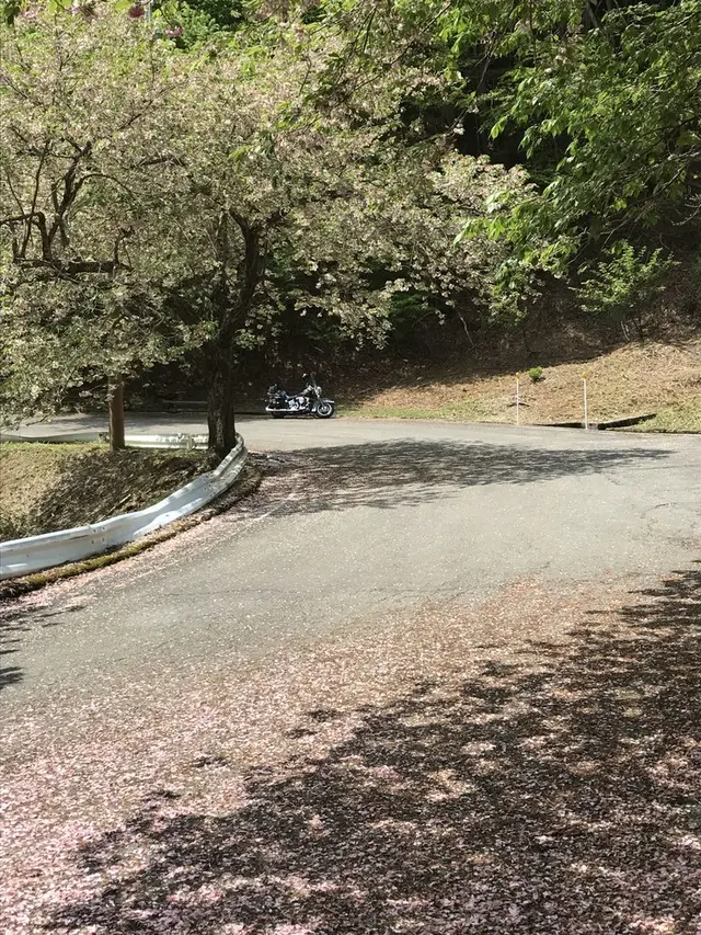 美山かやぶきの里