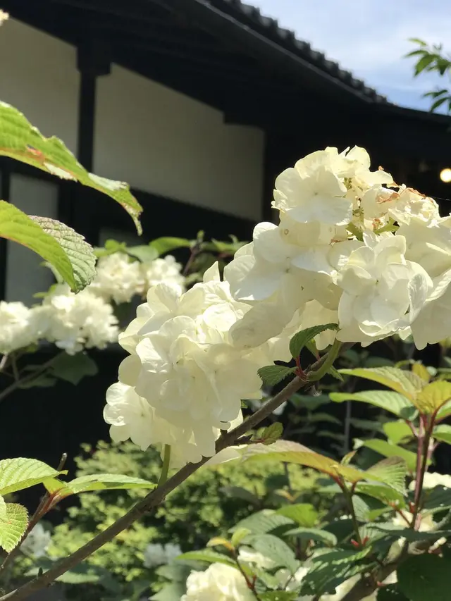 甘味処 ふくまめ