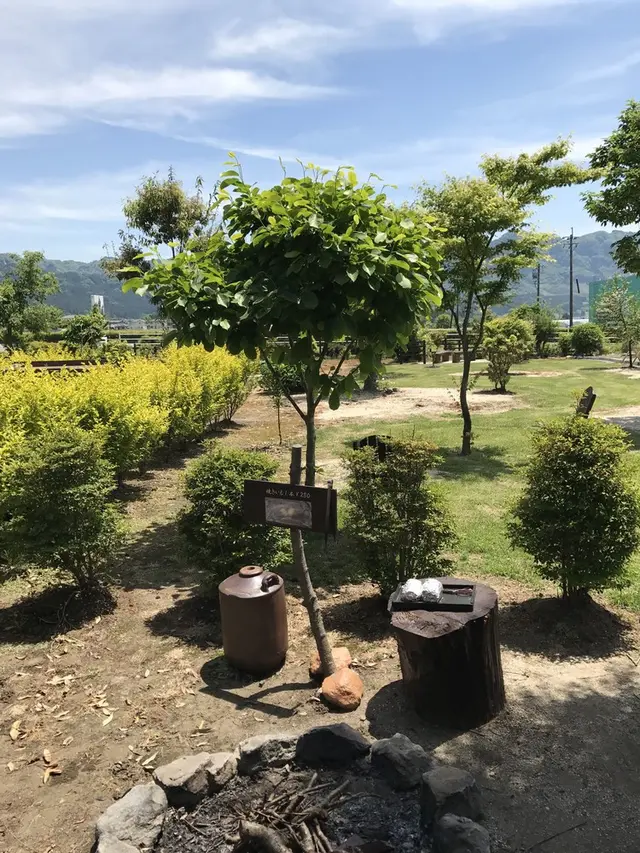 甘味処 ふくまめ