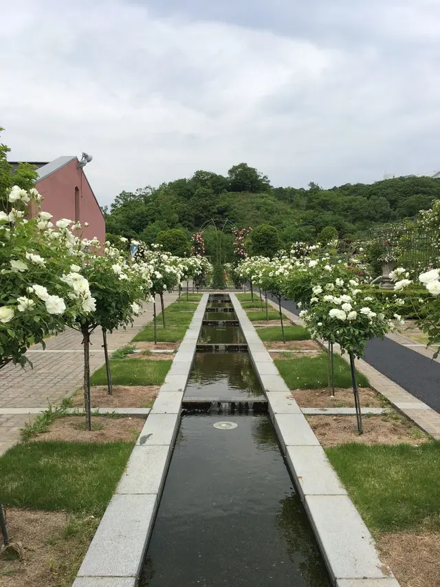 花フェスタ記念公園