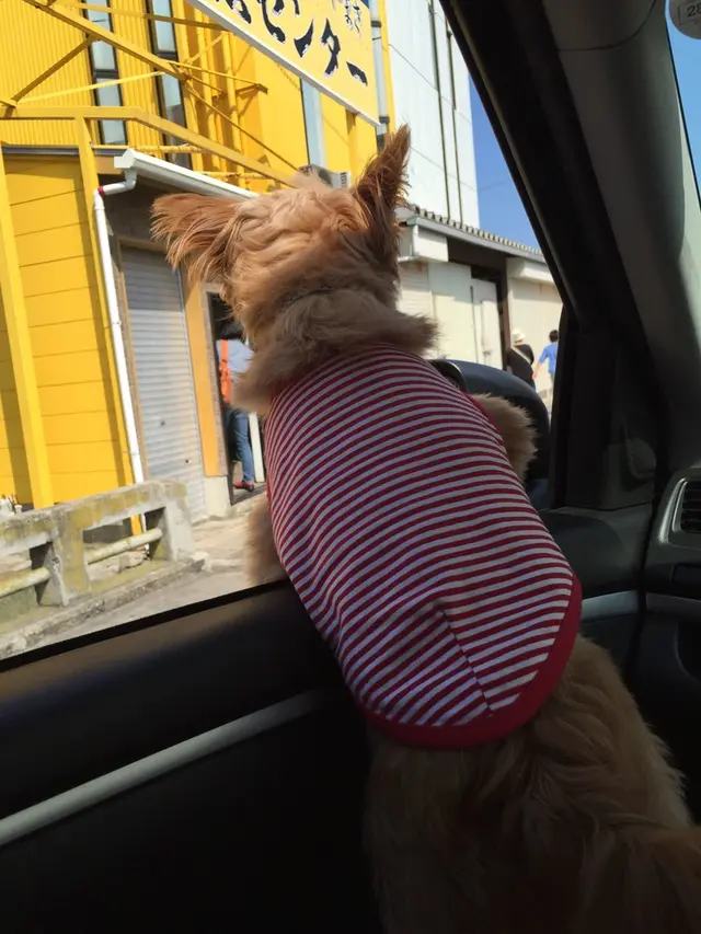 那珂湊おさかな市場