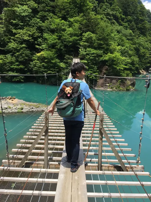 夢の吊橋